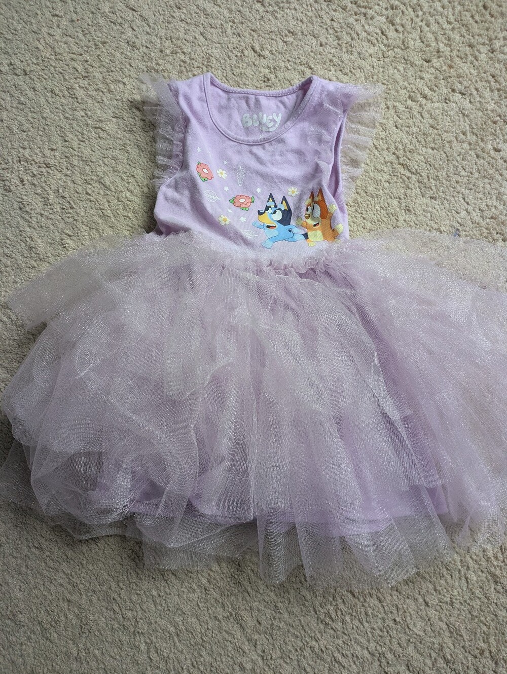 Bluey Tutu Dress 5T